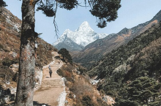 Ama Dablam Expedition- 29 Days