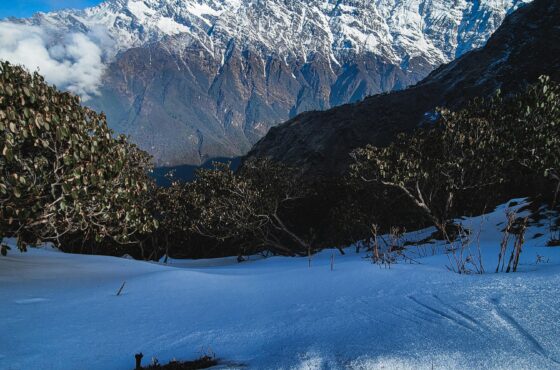 Ghorepani Poon Hill Trek – 9 Days