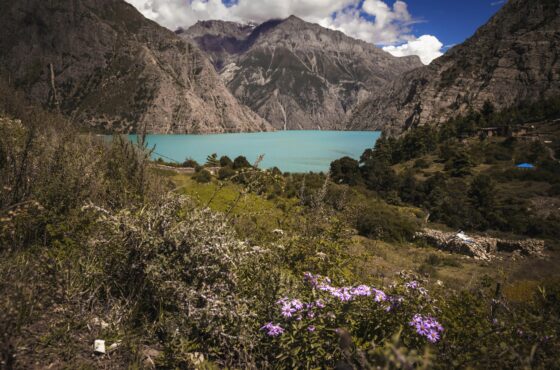 Lower Dolpo Trek-17 Days