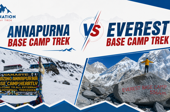 Annapurna Base Camp Trek vs Everest Base Camp Trek: Which Trek Is Best for You in 2026?