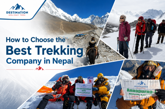 How to Choose the Best Trekking Company in Nepal