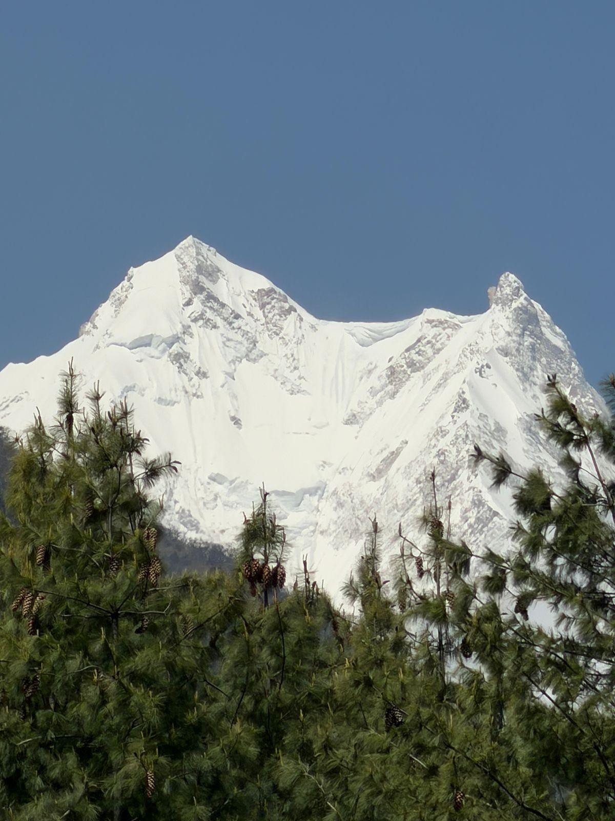 Manaslu Expedition peak view through pine forest