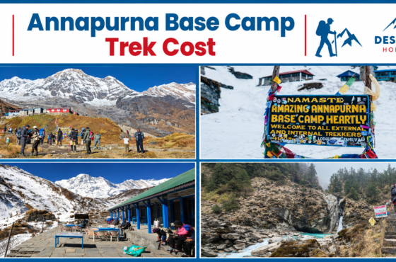 Annapurna Base Camp Trek Cost 2026/2027: Budget Breakdown