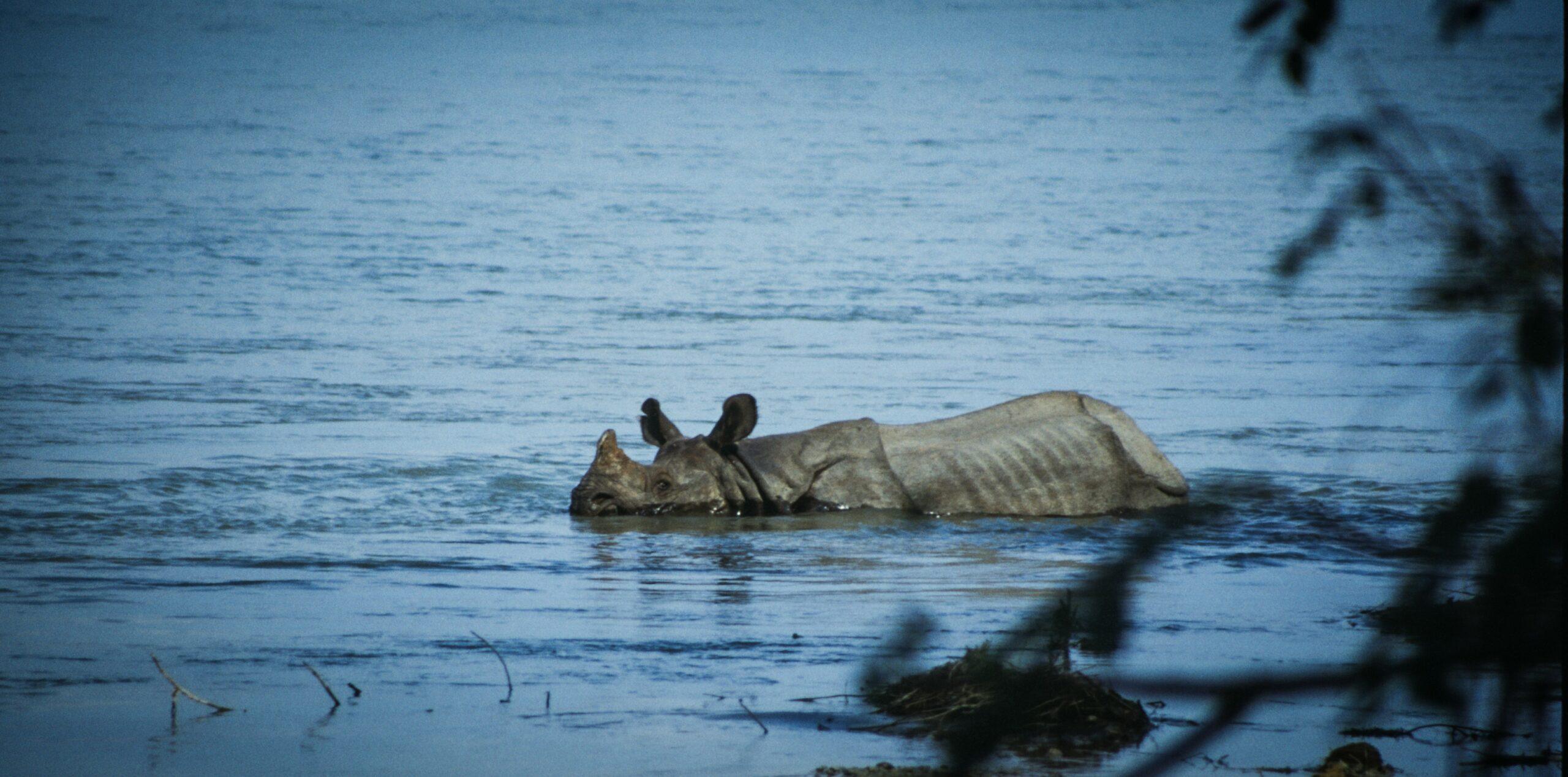 Kathmandu Chitwan Pokhara Lumbini Tour