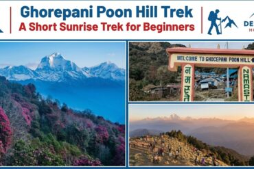 Ghorepani Poon Hill Trek with a trekker enjoying panoramic Himalayan mountain views in Nepal.