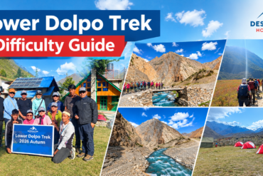 Lower Dolpo Trek Difficulty Guide with trekkers crossing mountain trails, rocky valleys, river bridges, and a high-altitude campsite in Nepal.